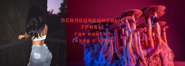 apvp Верхний Тагил