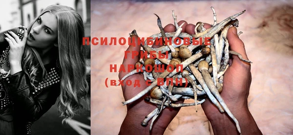 apvp Верхний Тагил